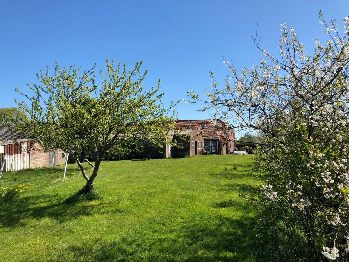 Ferienwohnungen Am Mühlenhügel Stedesdorf Exterior foto